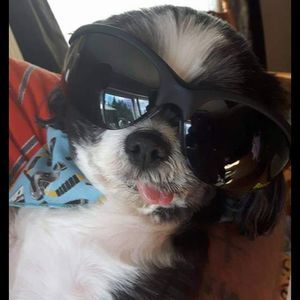 Meet your Posher, Gloria